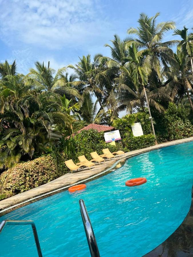 Coconut Grove Colva